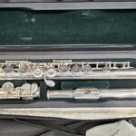 Pearl PF-505EUS